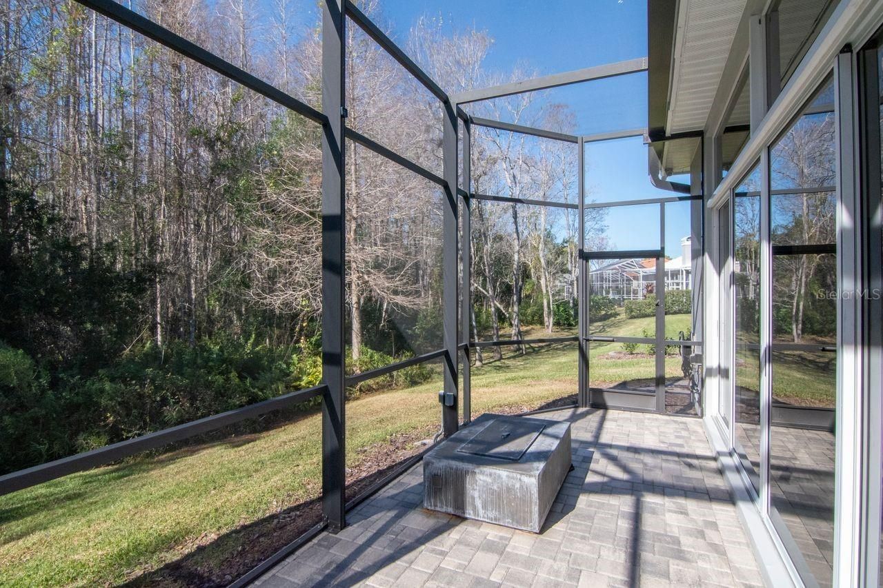 18916 Saint Laurent Drive, Lutz, FL 33558 Photo