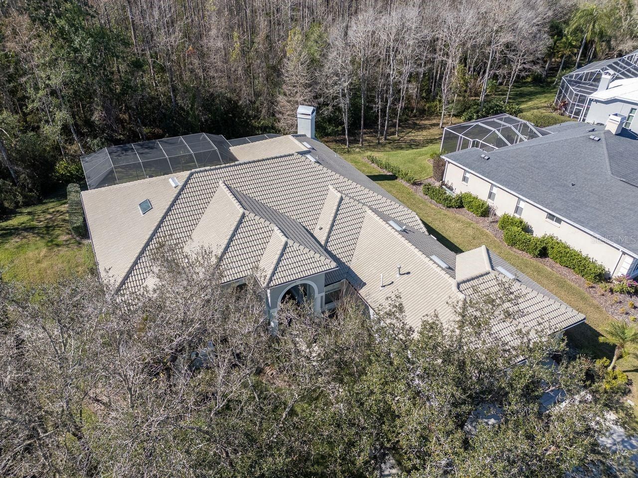 18916 Saint Laurent Drive, Lutz, FL 33558 Photo