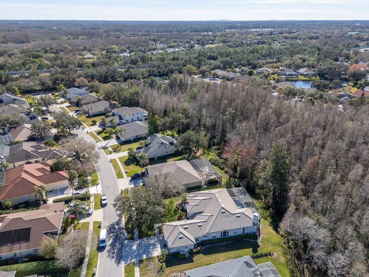 18916 Saint Laurent Drive, Lutz, FL 33558 Photo