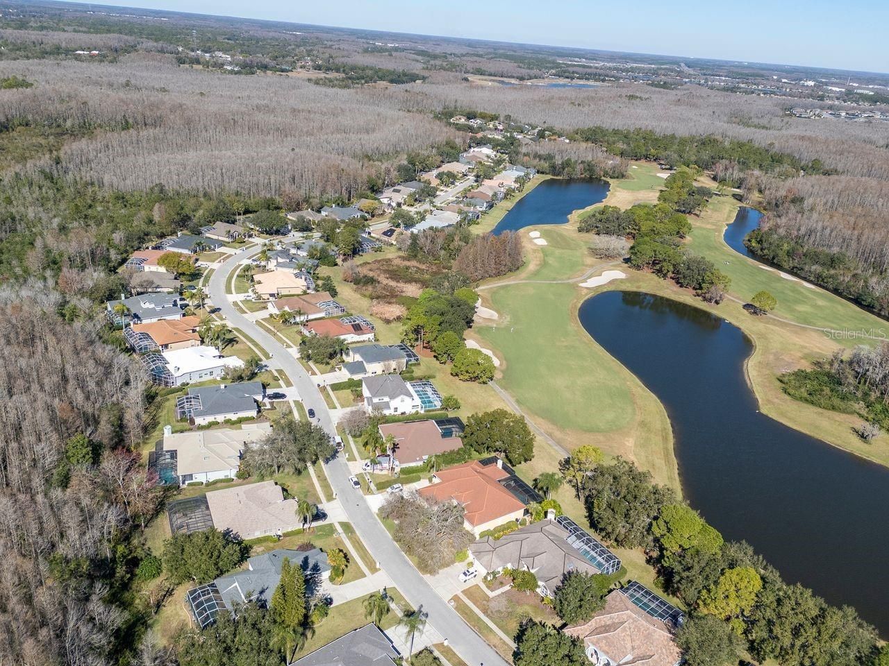 18916 Saint Laurent Drive, Lutz, FL 33558 Photo