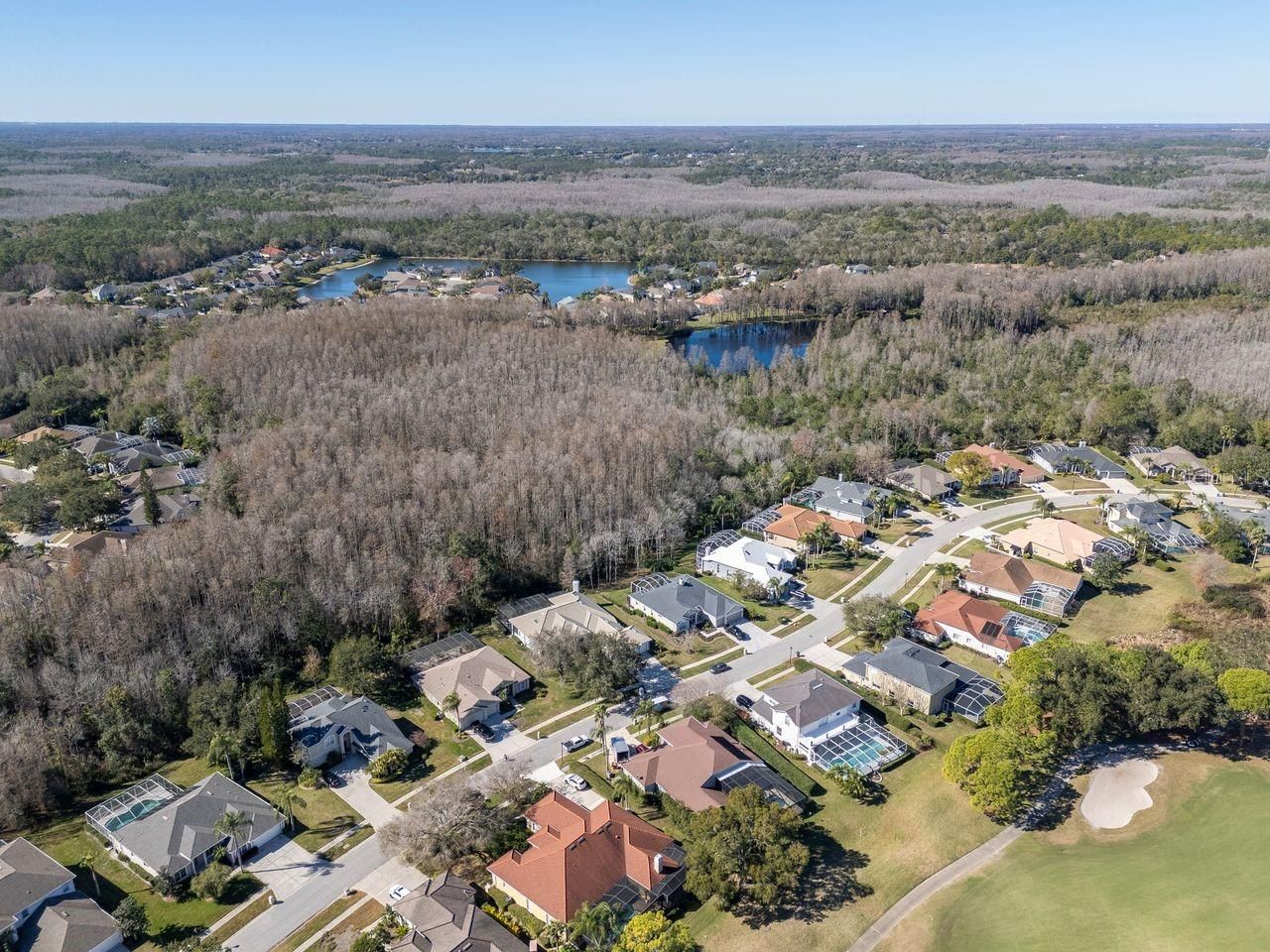 18916 Saint Laurent Drive, Lutz, FL 33558 Photo