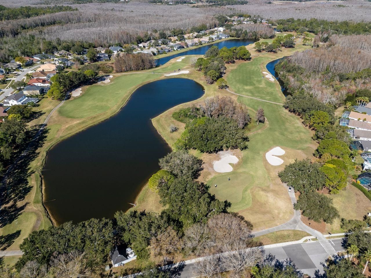 18916 Saint Laurent Drive, Lutz, FL 33558 Photo