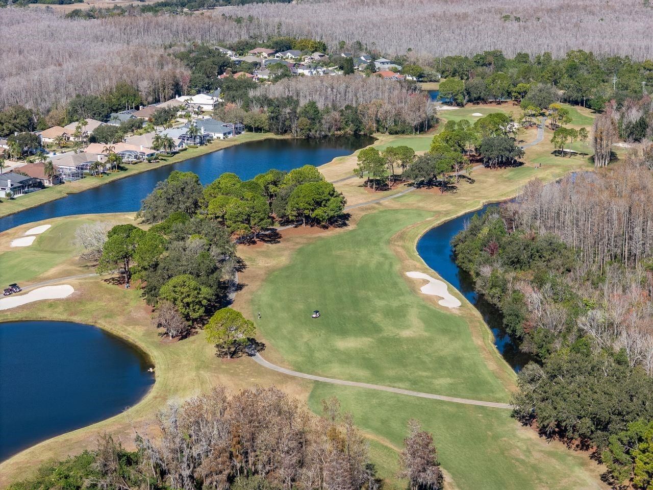 18916 Saint Laurent Drive, Lutz, FL 33558 Photo