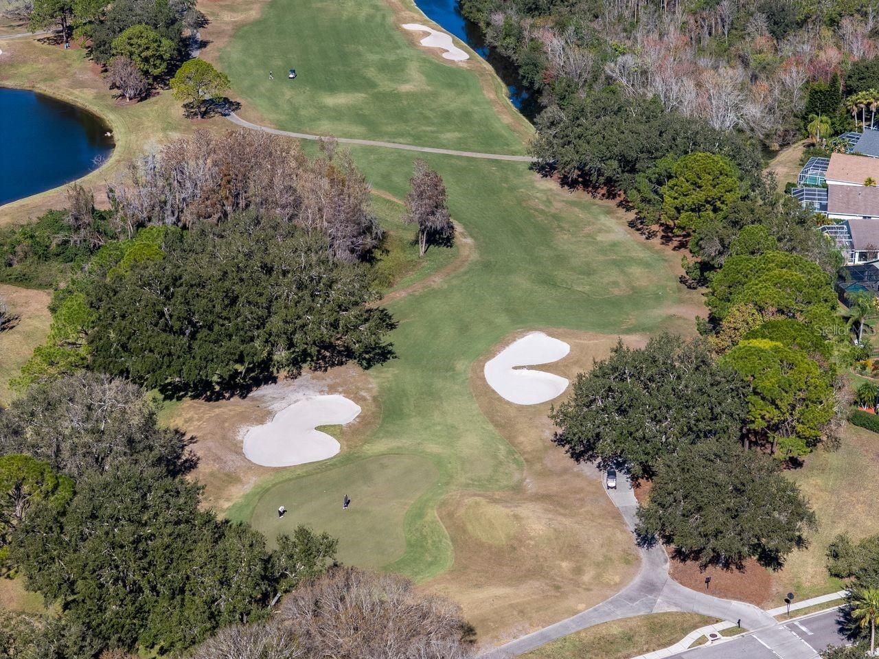 18916 Saint Laurent Drive, Lutz, FL 33558 Photo