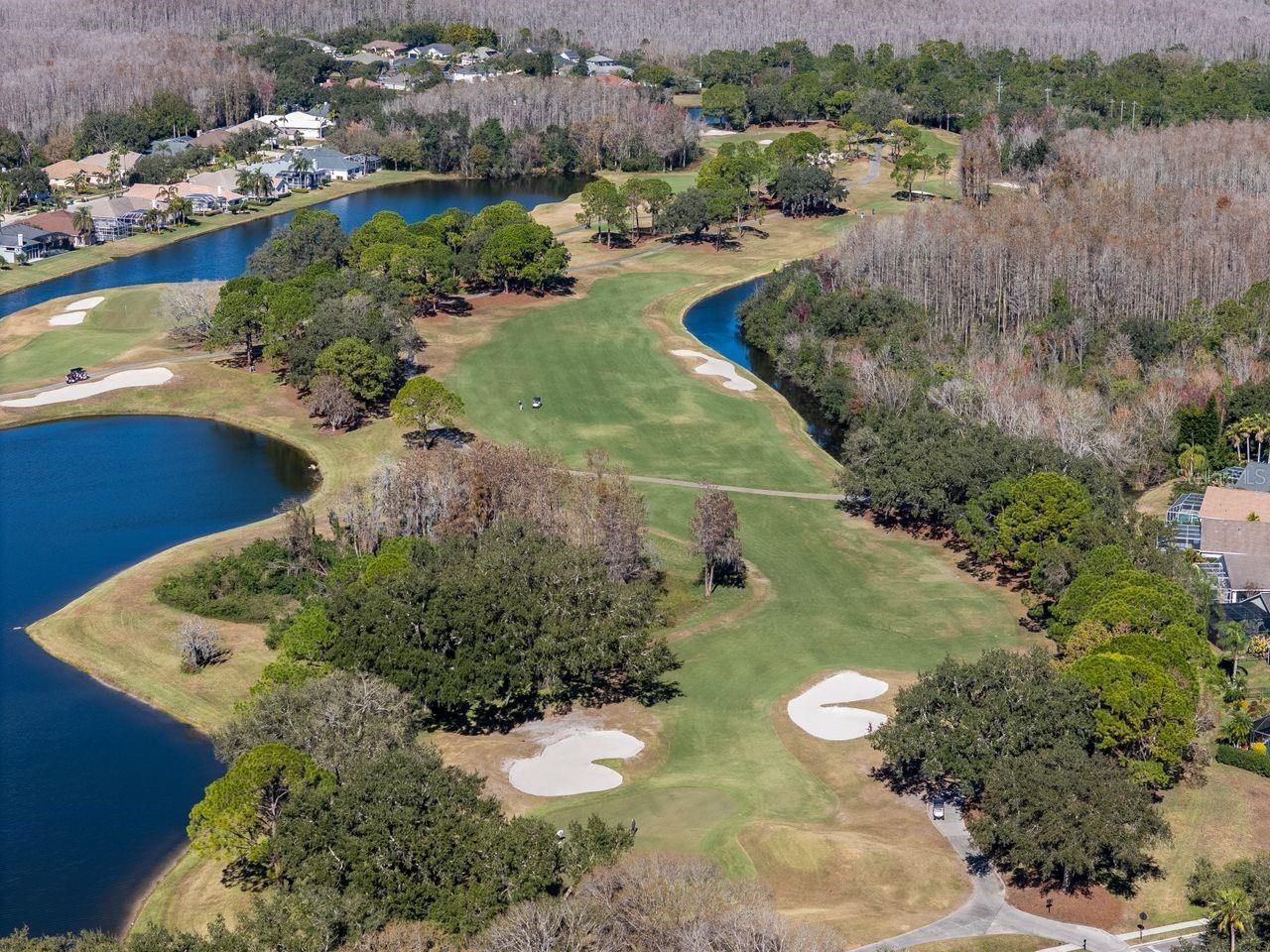 18916 Saint Laurent Drive, Lutz, FL 33558 Photo