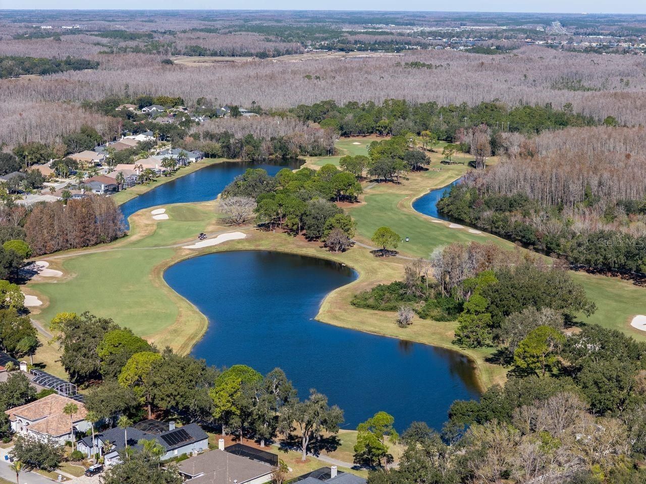 18916 Saint Laurent Drive, Lutz, FL 33558 Photo