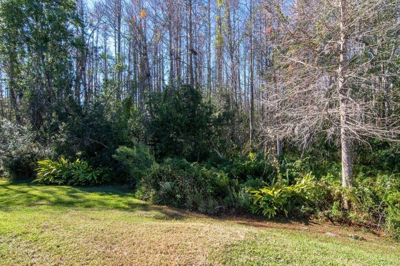 18916 Saint Laurent Drive, Lutz, FL 33558 Photo