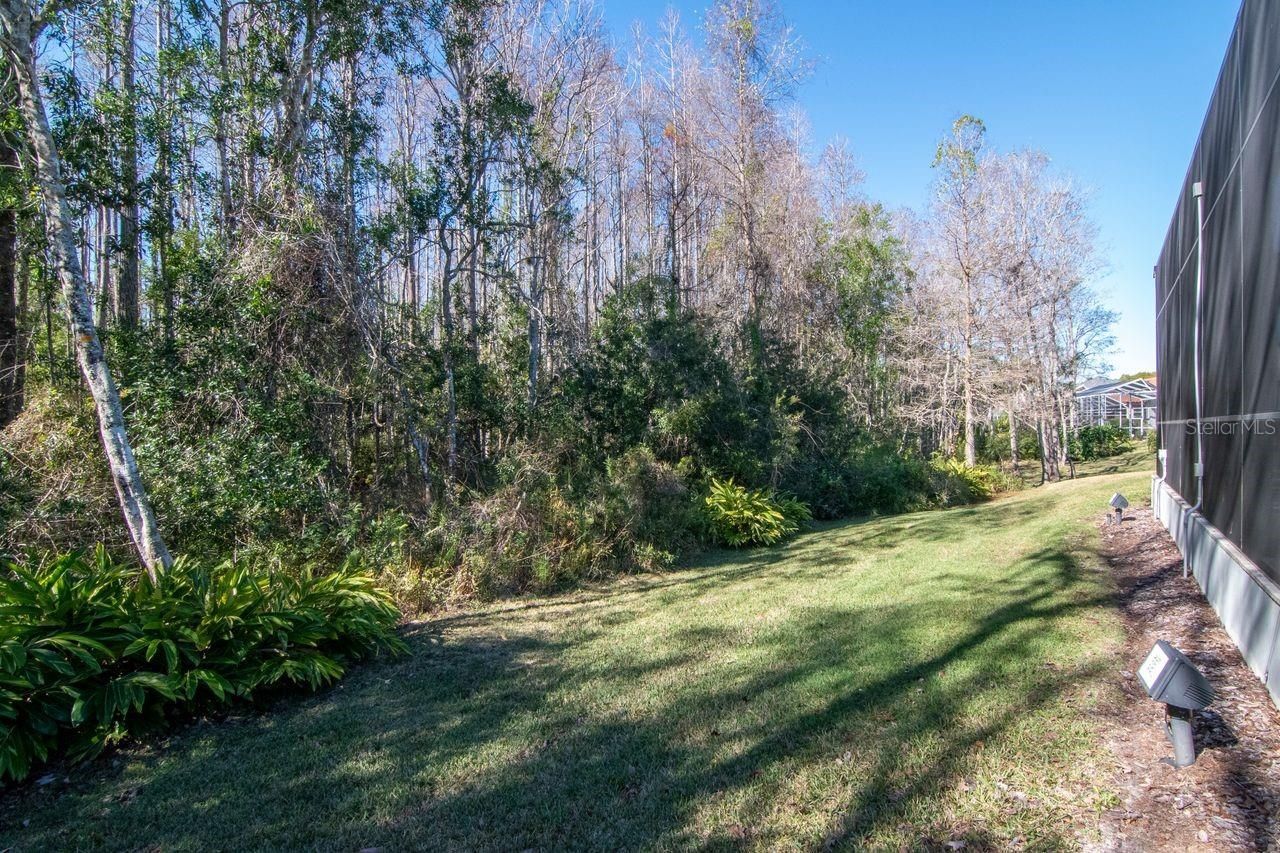 18916 Saint Laurent Drive, Lutz, FL 33558 Photo