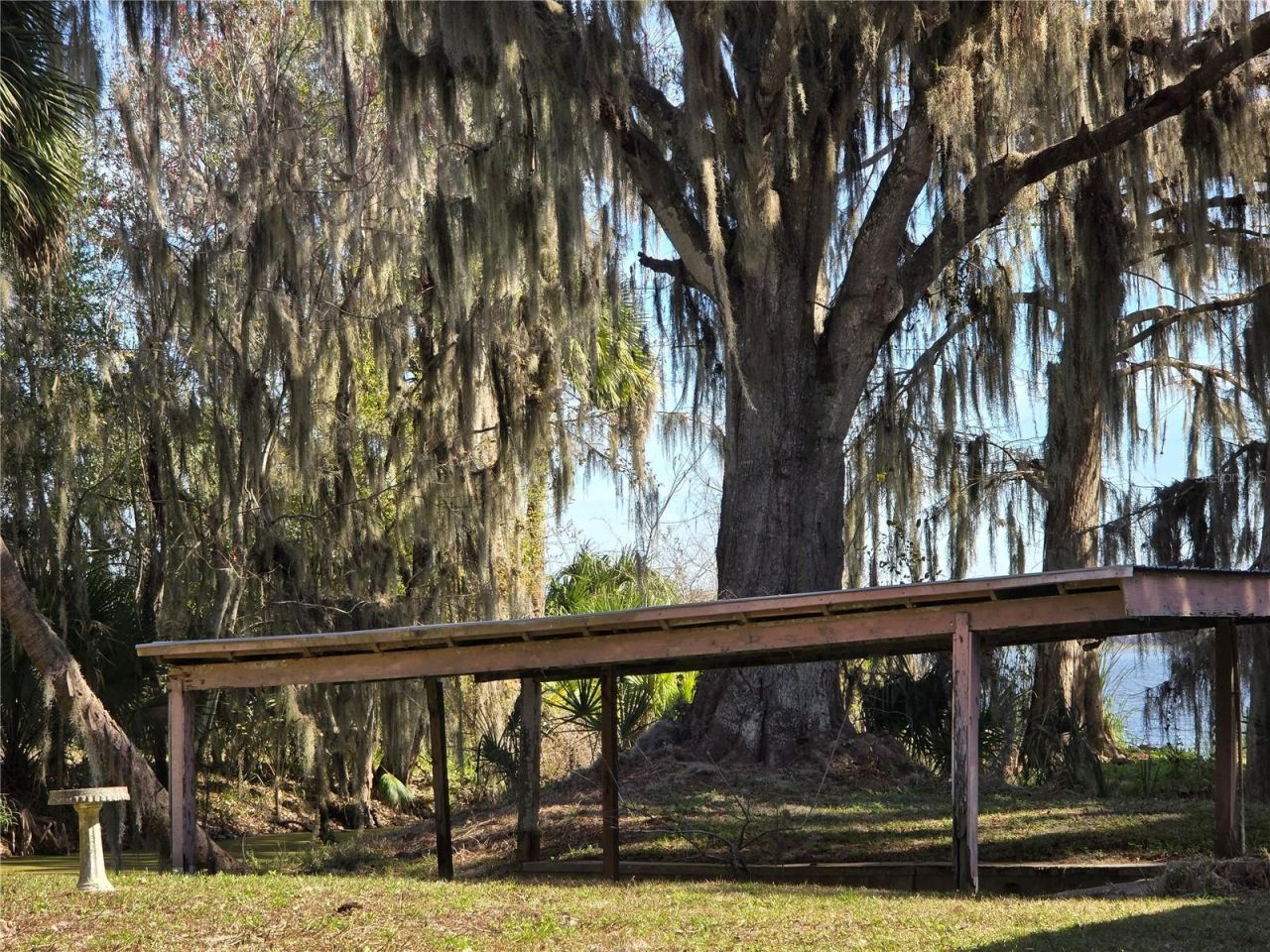 2346 Cr 401, Lake Panasoffkee, FL 33538 Photo