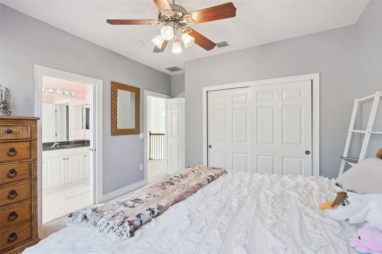 799 Oak Shadows Road, Celebration, FL 34747 Photo