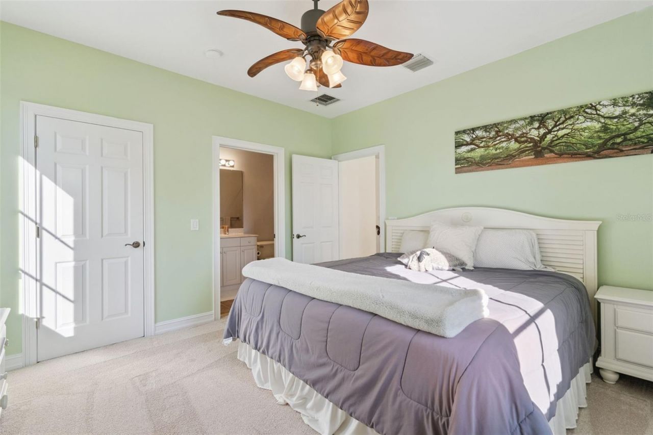 799 Oak Shadows Road, Celebration, FL 34747 Photo