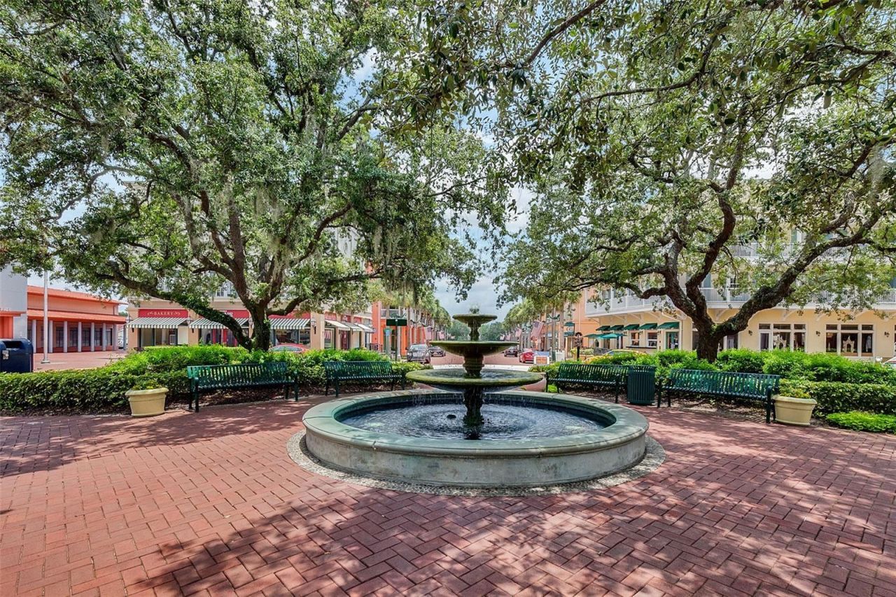 799 Oak Shadows Road, Celebration, FL 34747 Photo