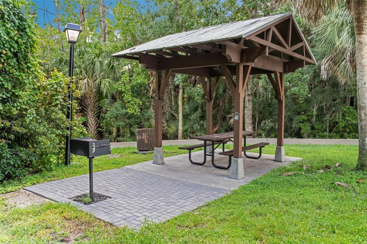 799 Oak Shadows Road, Celebration, FL 34747 Photo