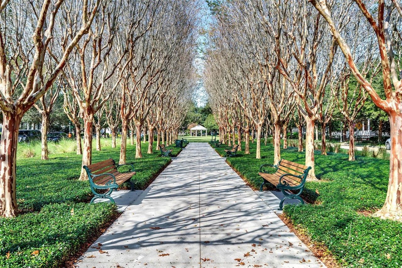 799 Oak Shadows Road, Celebration, FL 34747 Photo