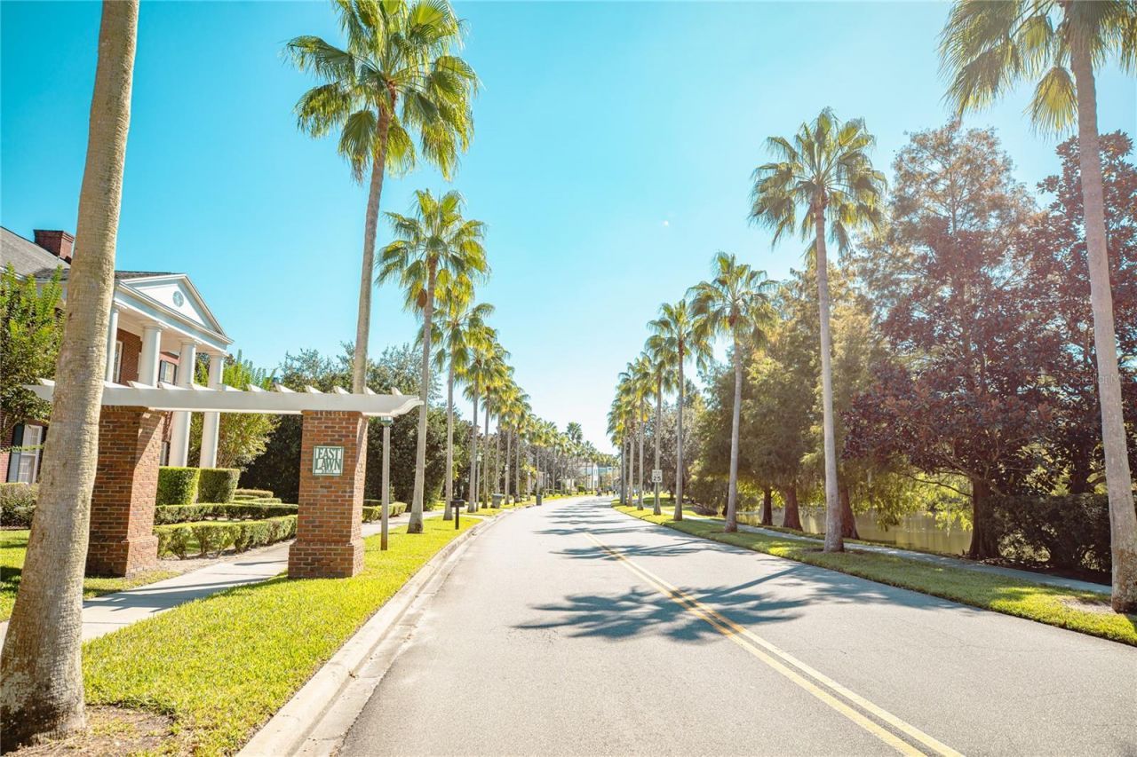 799 Oak Shadows Road, Celebration, FL 34747 Photo