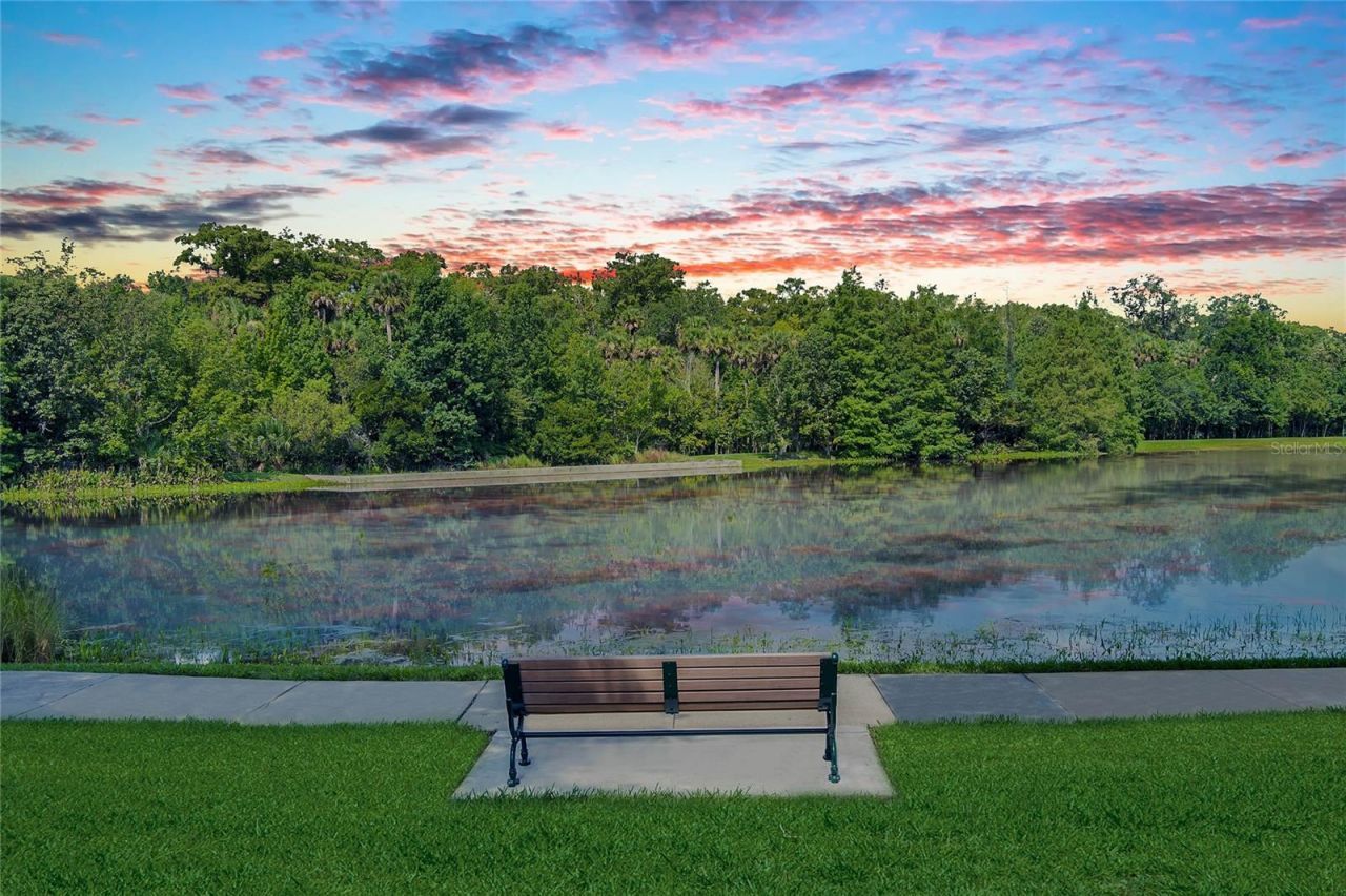 799 Oak Shadows Road, Celebration, FL 34747 Photo