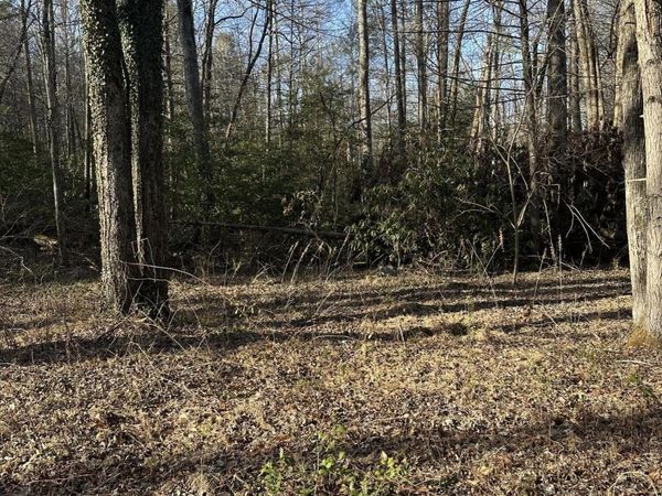 144 Cricket Hollow Way, Cosby, TN 37722