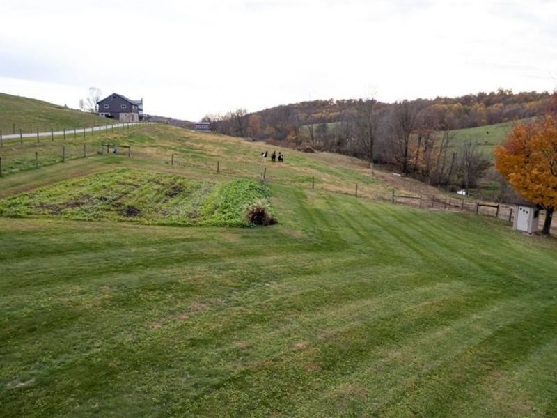 3841 Township Road 110, Millersburg, OH 44654 Photo 19