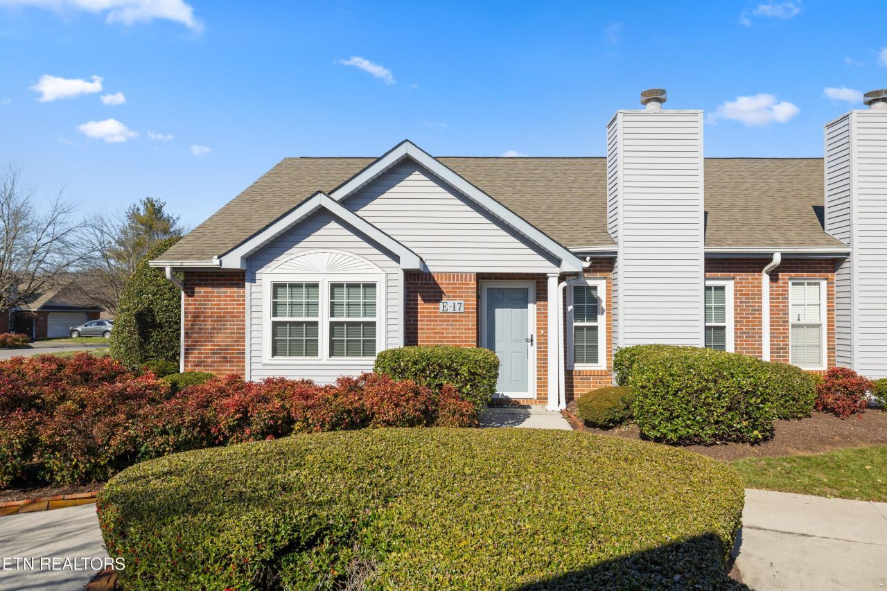 805 Cedar Lane, Knoxville, TN 37912 Main Photo