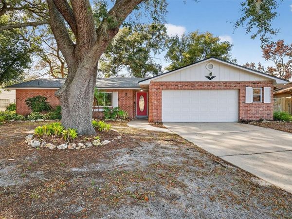 3450 LAUREL DRIVE, MOUNT DORA, FL 32757