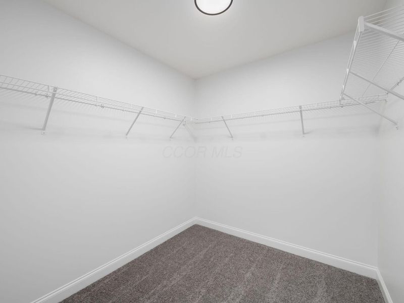 865 Canal Street, Delaware, OH 43015 Photo 28