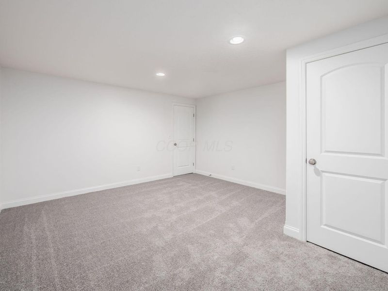 865 Canal Street, Delaware, OH 43015 Photo 37