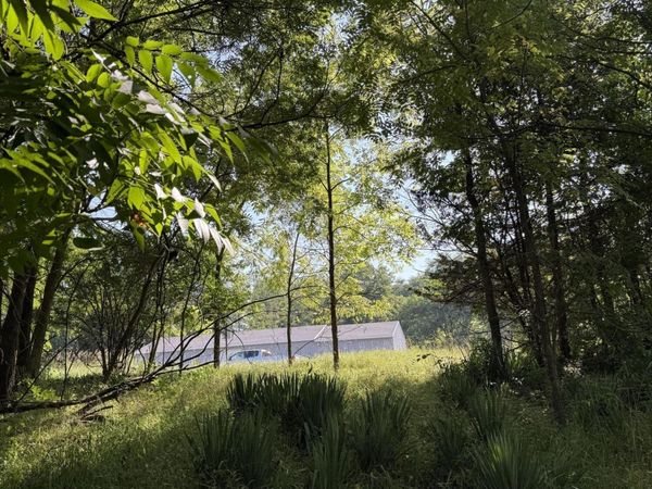 178 Griswold Street, Hillsdale, MI 49242