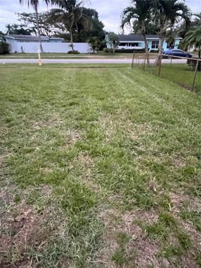 3401 NW 5th Place, Lauderhill, FL 33311 Photo