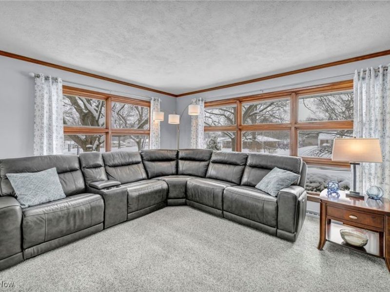 6739 Mcvay Drive, Westfield Center, OH 44251 Photo 10