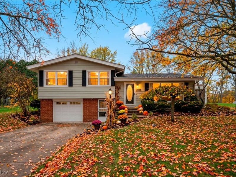 6739 Mcvay Drive, Westfield Center, OH 44251 Photo 3