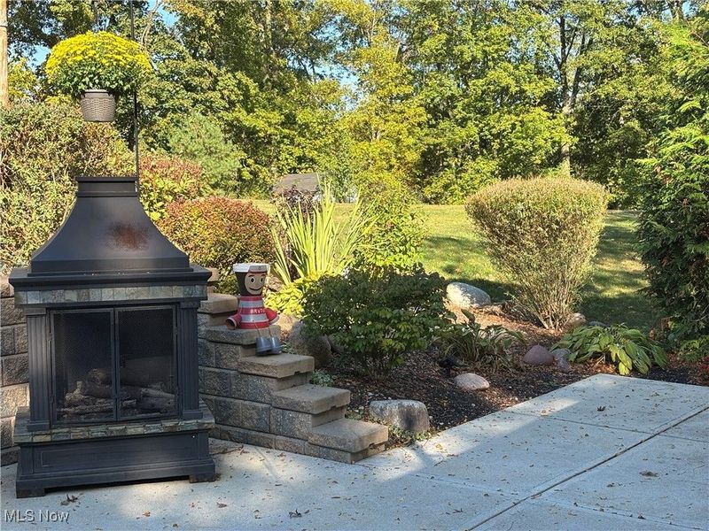 6739 Mcvay Drive, Westfield Center, OH 44251 Photo 49