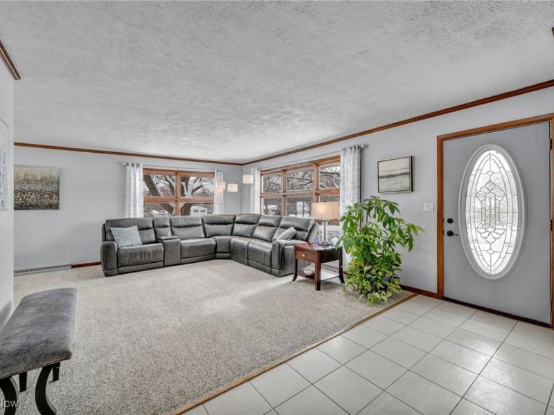 6739 Mcvay Drive, Westfield Center, OH 44251 Photo 8