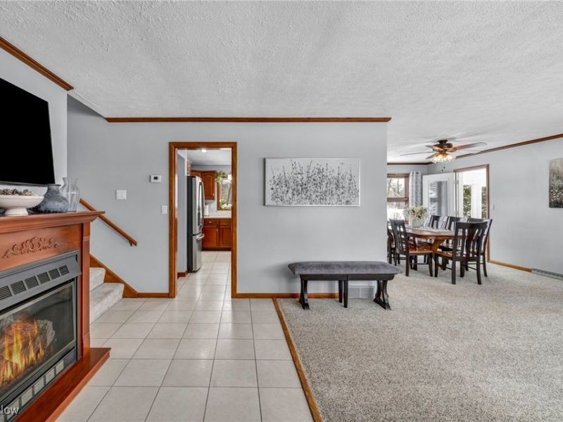 6739 Mcvay Drive, Westfield Center, OH 44251 Photo 9