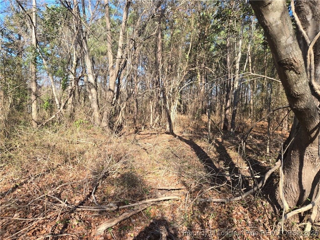 1313 Cory Circle, Eastover, NC 28312 Main Photo