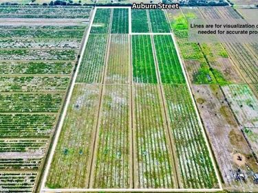 3288 AUBURN STREET, LORIDA, FL 33857