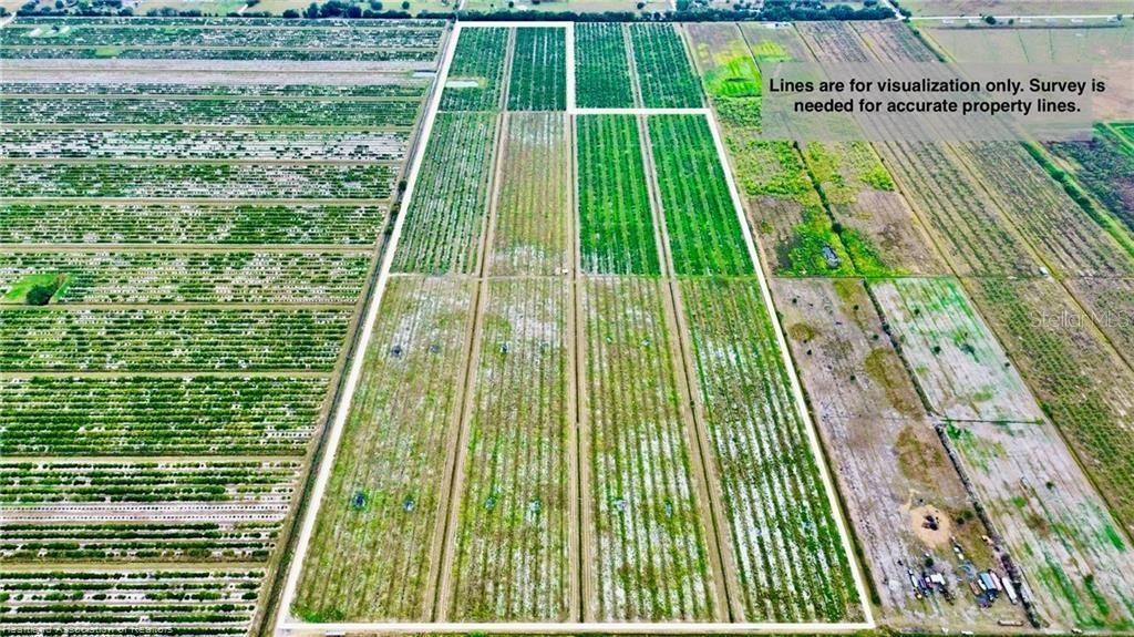 3288 Auburn Street, Lorida, FL 33857 Photo