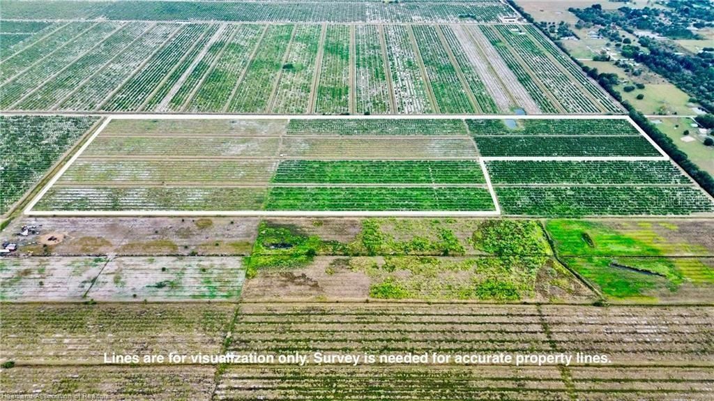 3288 Auburn Street, Lorida, FL 33857 Photo