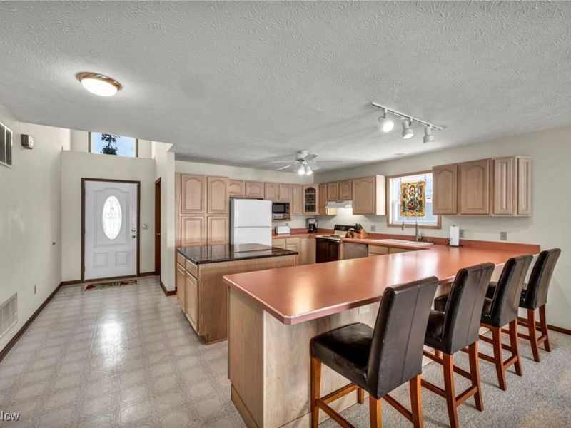 2528 Tupelo Drive, Roaming Shores, OH 44084 Photo 7