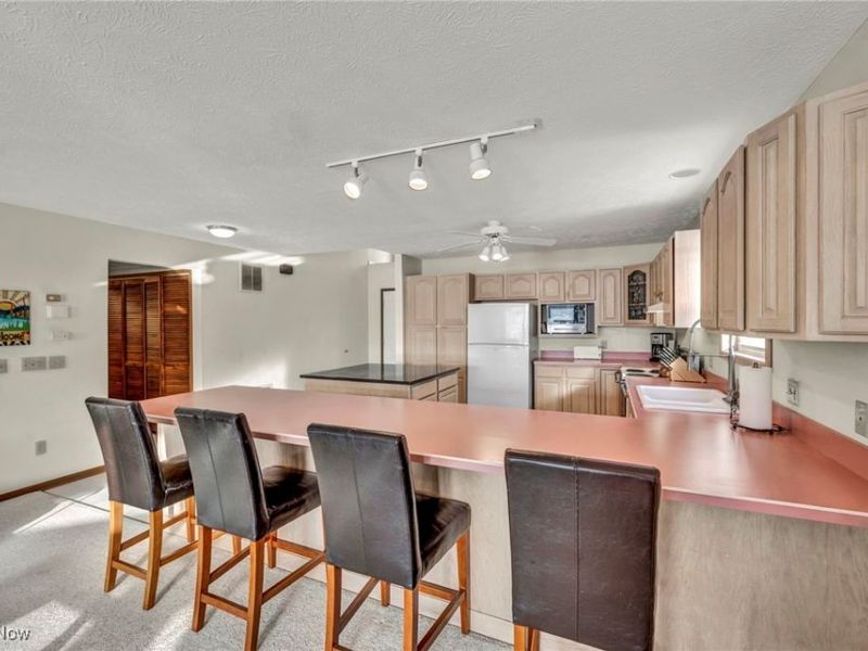 2528 Tupelo Drive, Roaming Shores, OH 44084 Photo 8