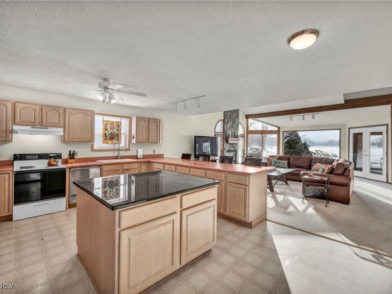 2528 Tupelo Drive, Roaming Shores, OH 44084 Photo 9