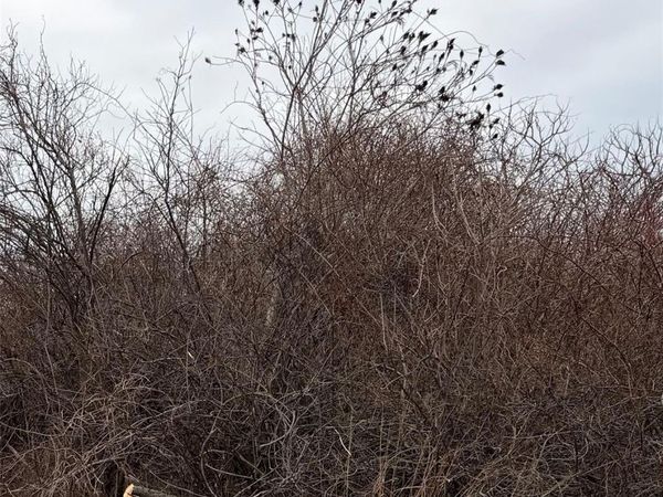 18 Homeward Lane , Montauk, NY 11954