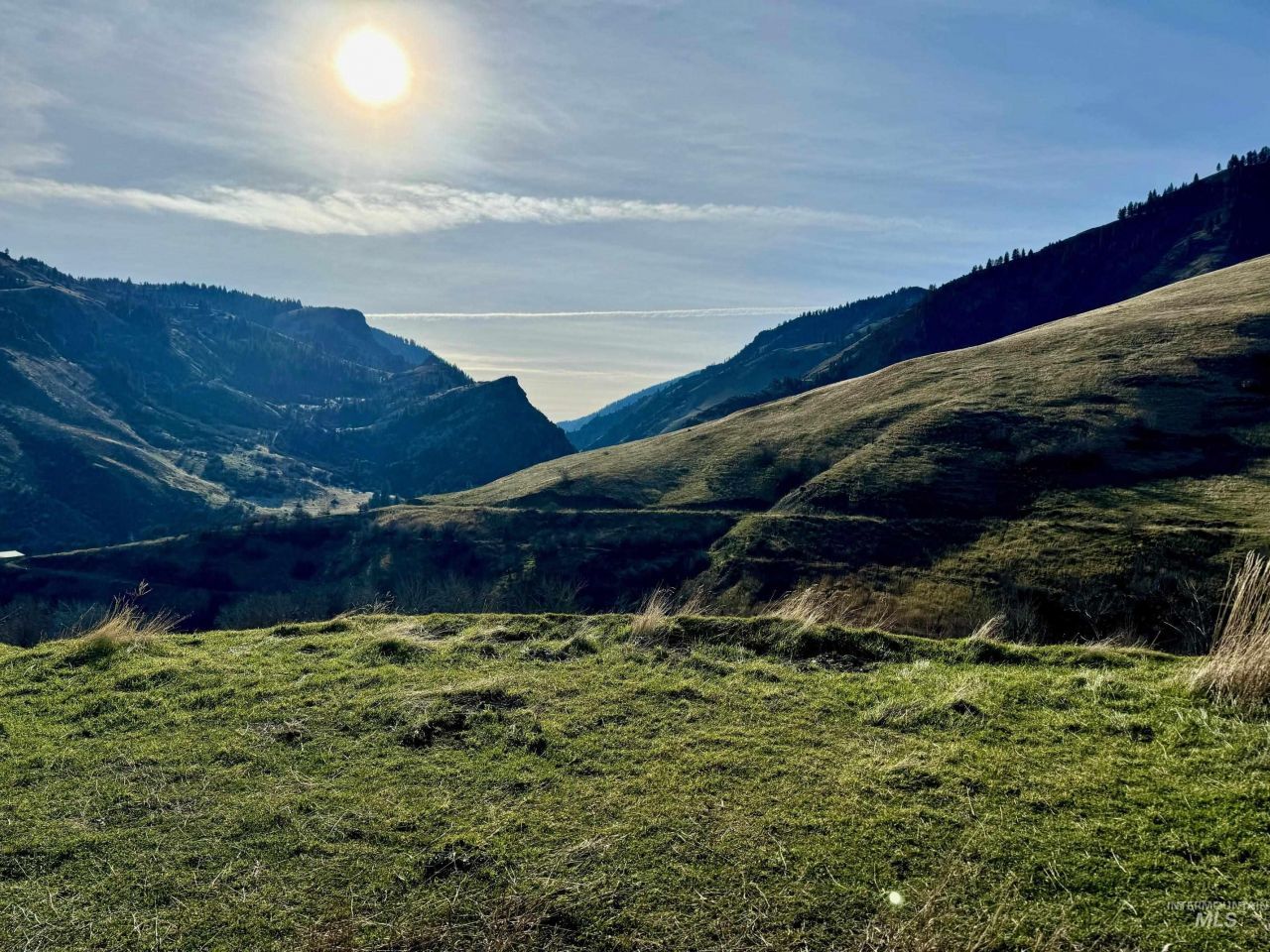 Tbd E Shingle Creek Drive, Riggins, ID 83549 Main Photo