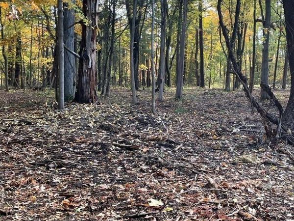 15 Tammy Trail, Athens, NY 12051