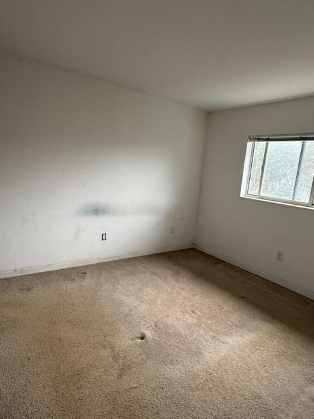 1200 5th Ave. N Photo 4