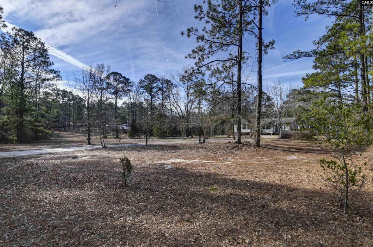 1571 Chestnut Road  Photo 6