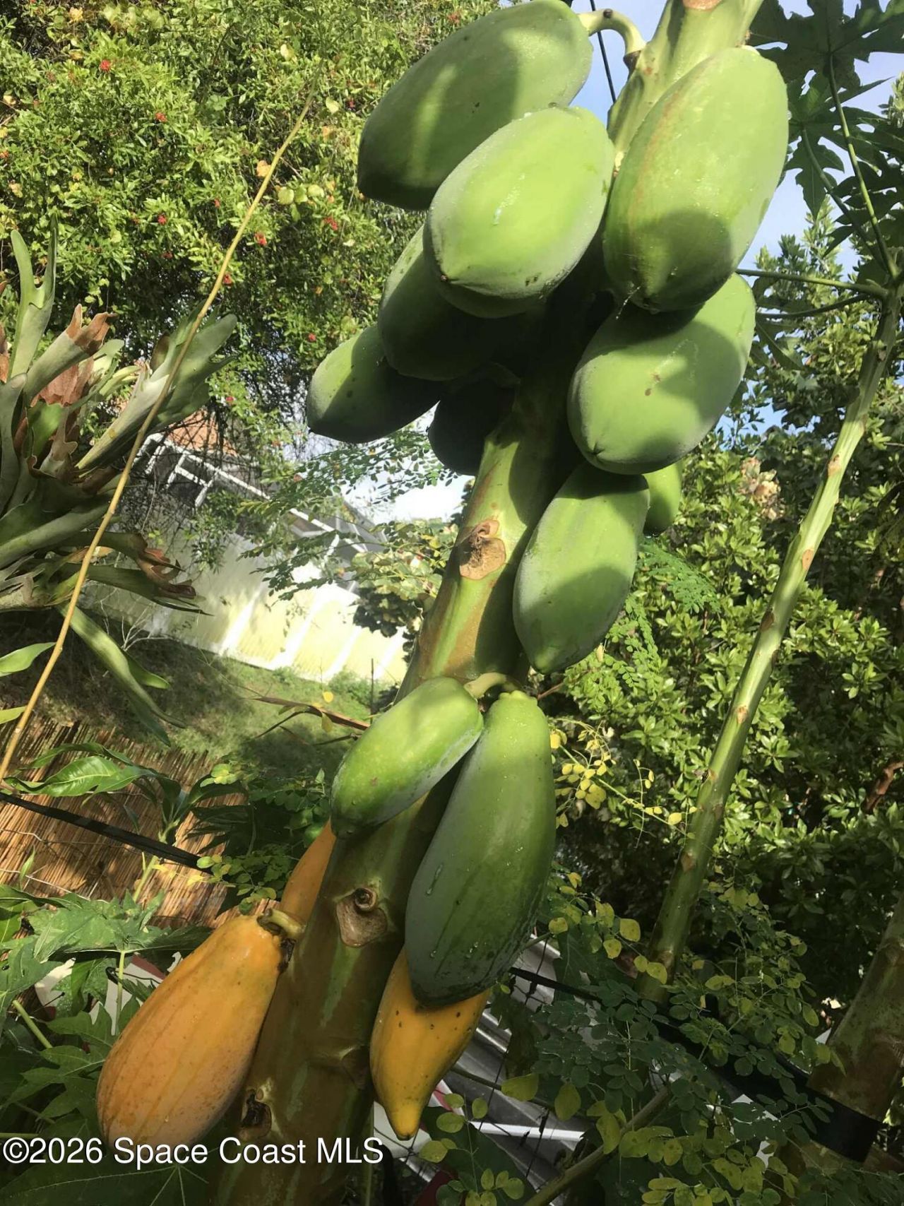 450 Hazel Street, Sebastian, FL 32958 Photo