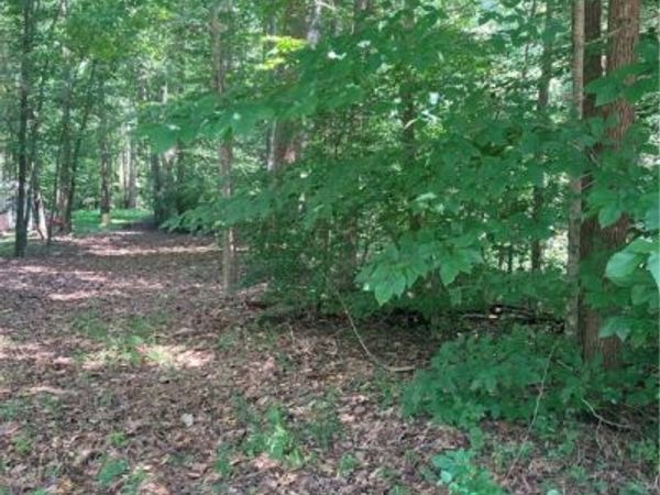 TBD Old Quarter Lane, New Kent, VA 23124