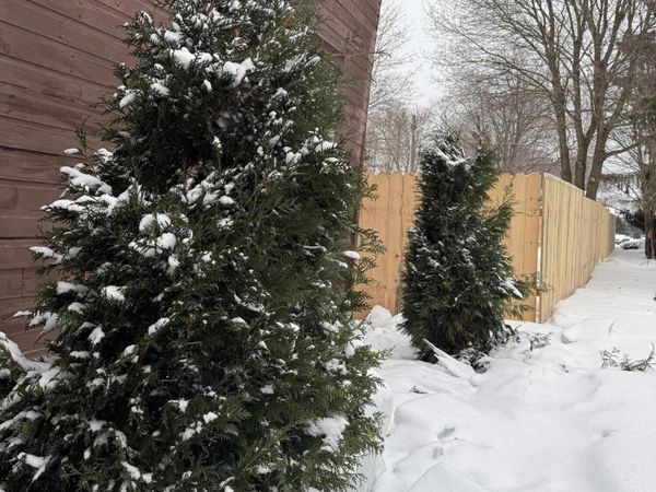 305 E Truman ST, Newberry, MI 49868