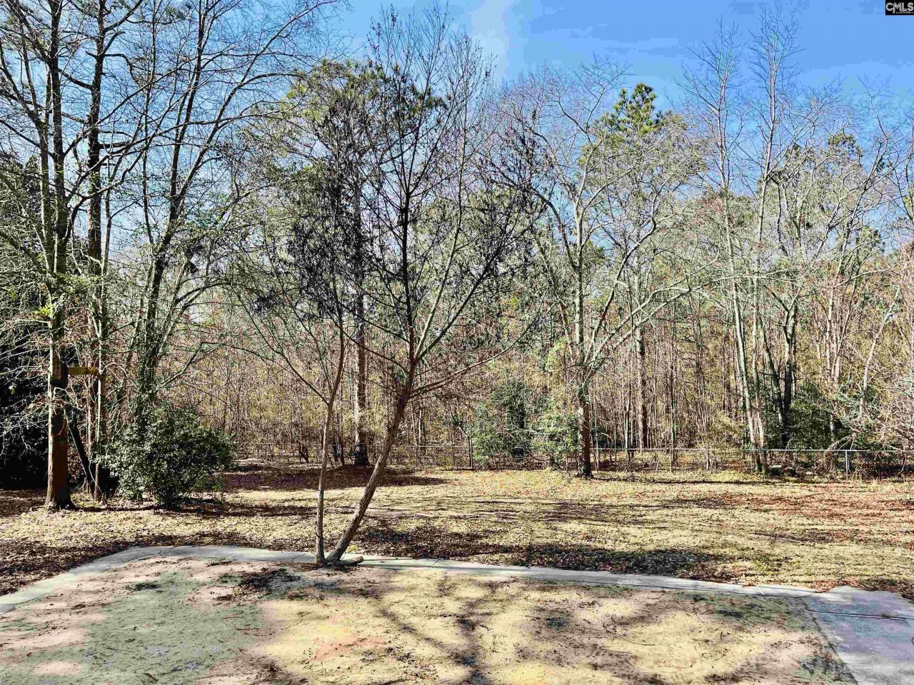 491 Sandy Springs Lane Photo 52