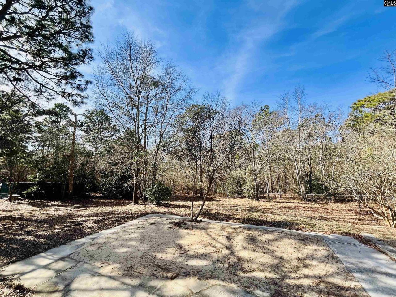 491 Sandy Springs Lane Photo 53